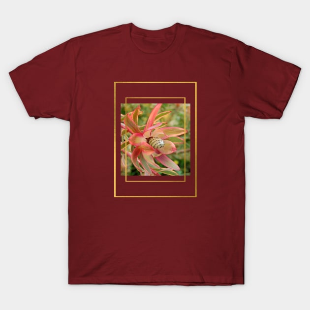 "Conebush Flower" with gold color framing T-Shirt by MCsab Creations